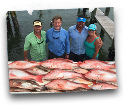 Collection of fish from successful day fishing