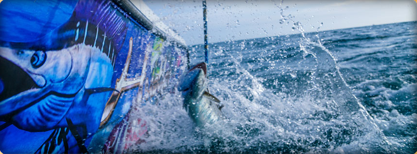 captainpedro-Borrego