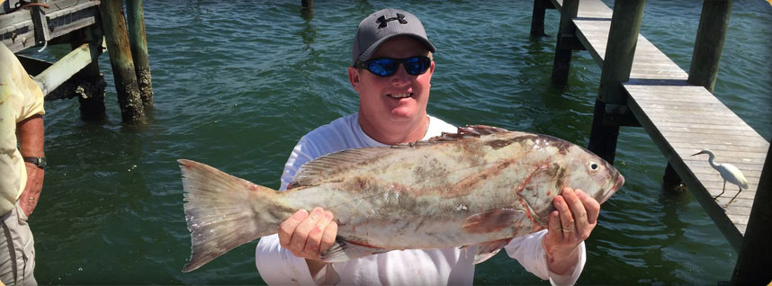 Stpetersburg-Charter-Captains